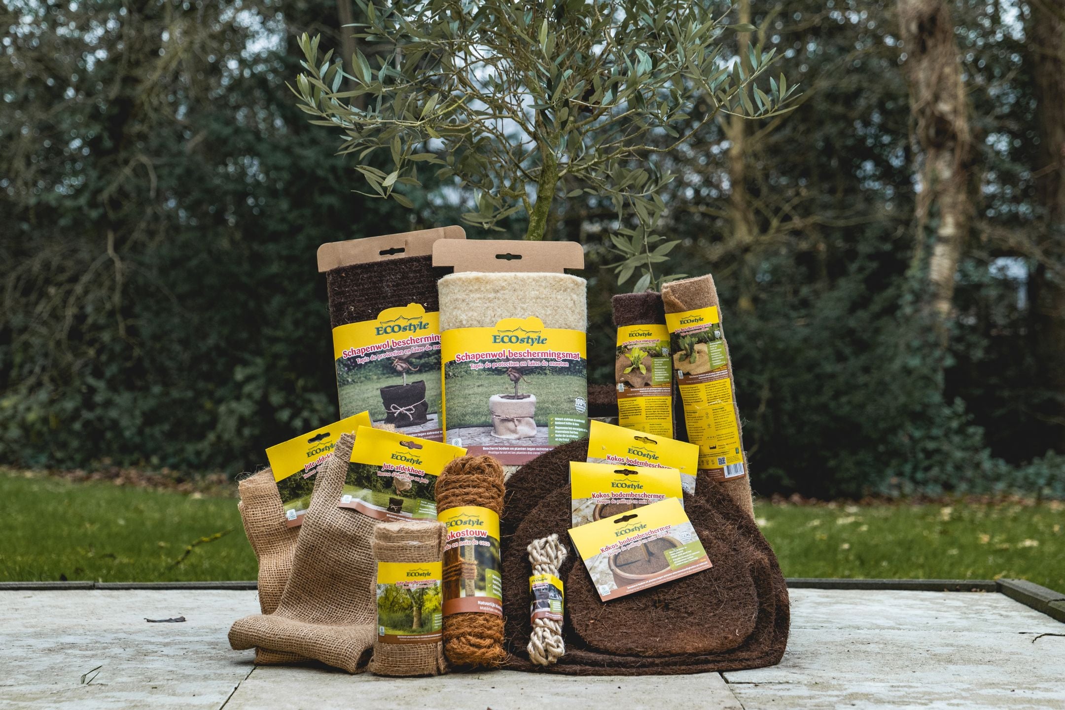 Bescherm je (kuip)planten en bomen in de winter