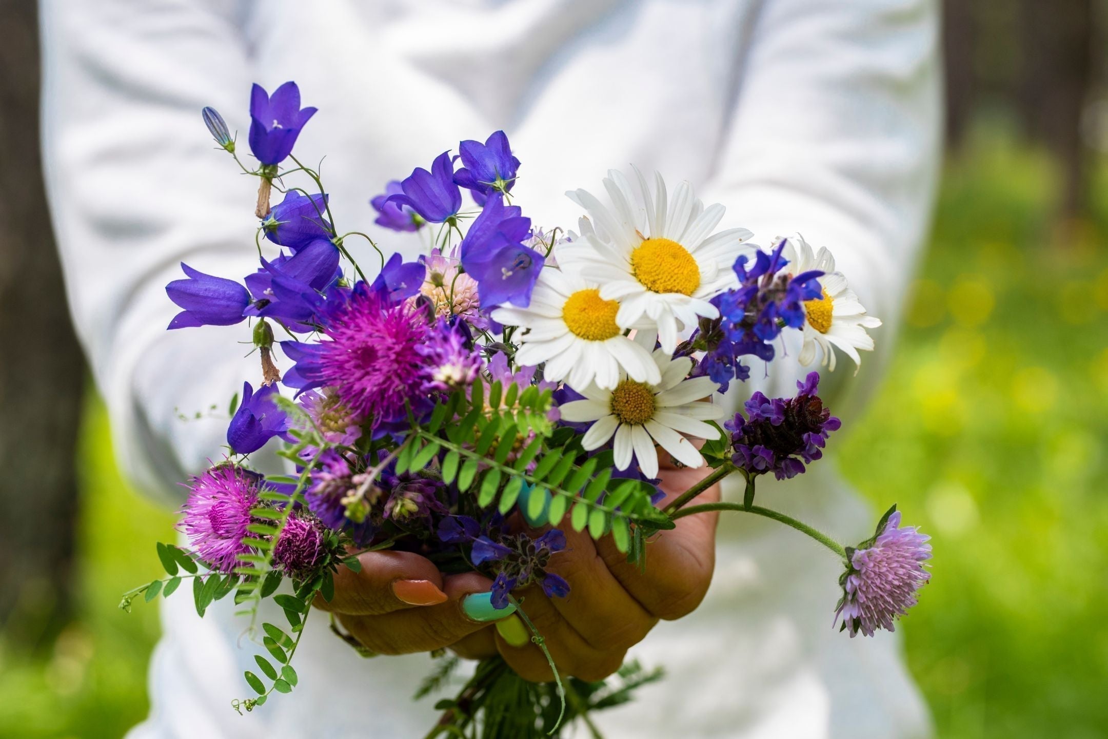 In 4 stappen een pluktuin aanleggen