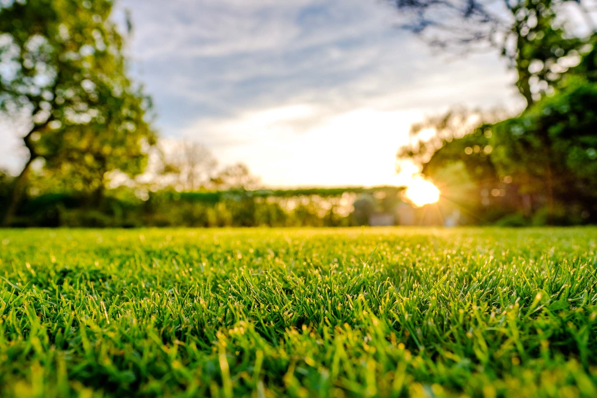 gazon onderhoud per maand