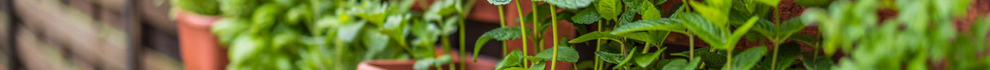 5 duurzame schutting ideeën: kies voor bewuste tuinafscheidingen