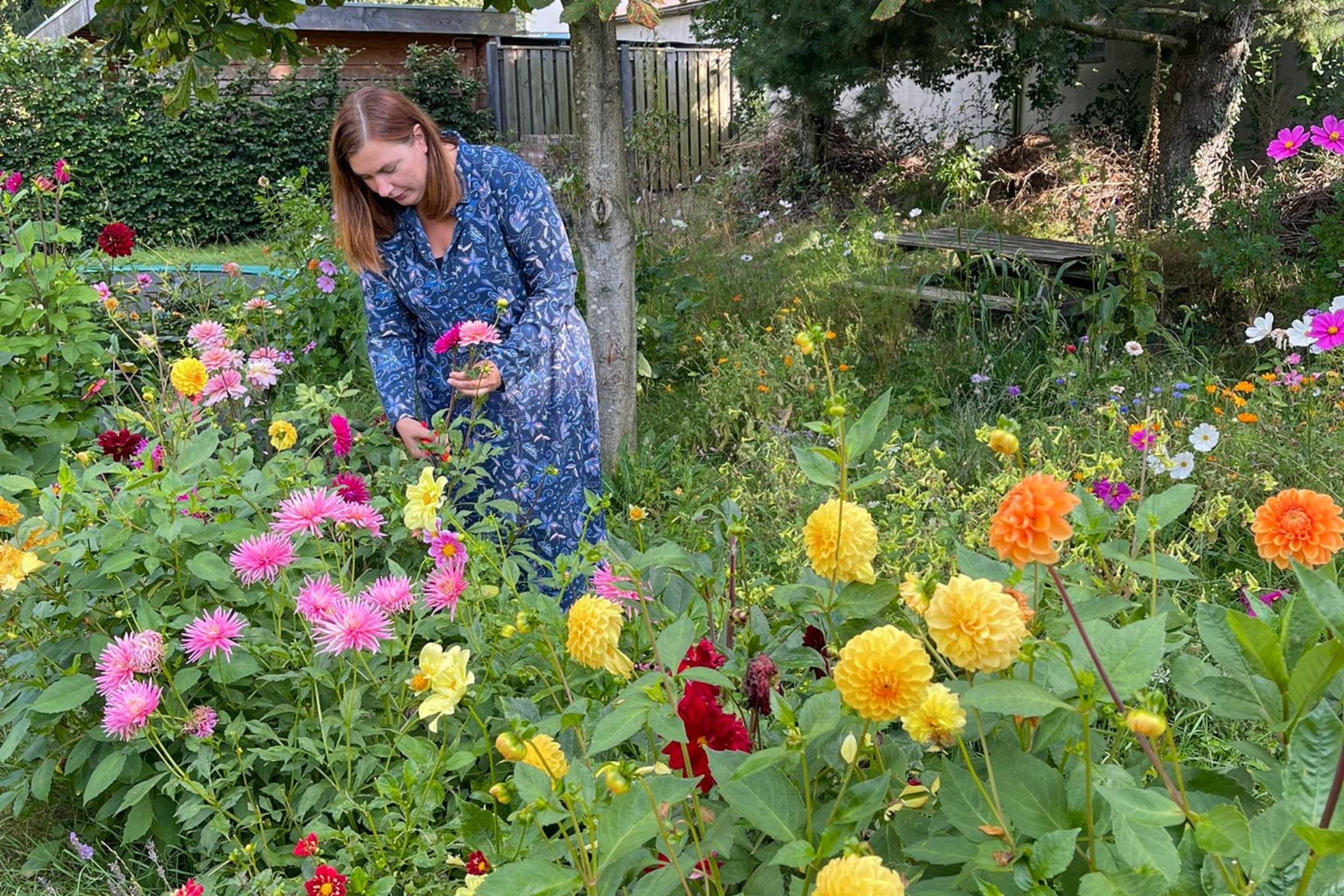 Deze 5 plukbloemen wil jij absoluut zelf gaan kweken!