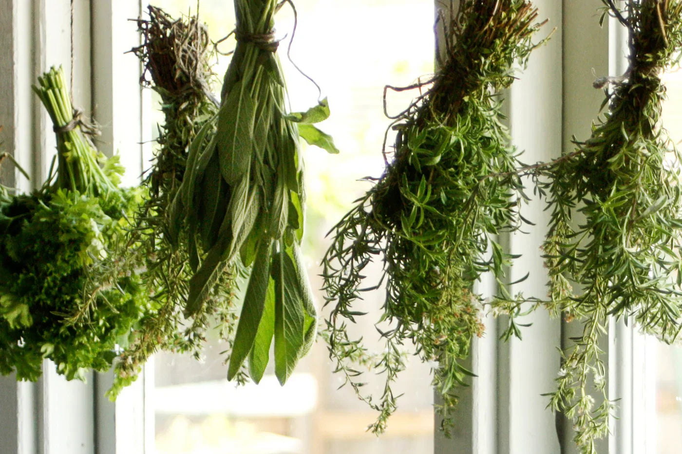 DIY: Kruiden drogen, geniet het hele jaar van je oogst