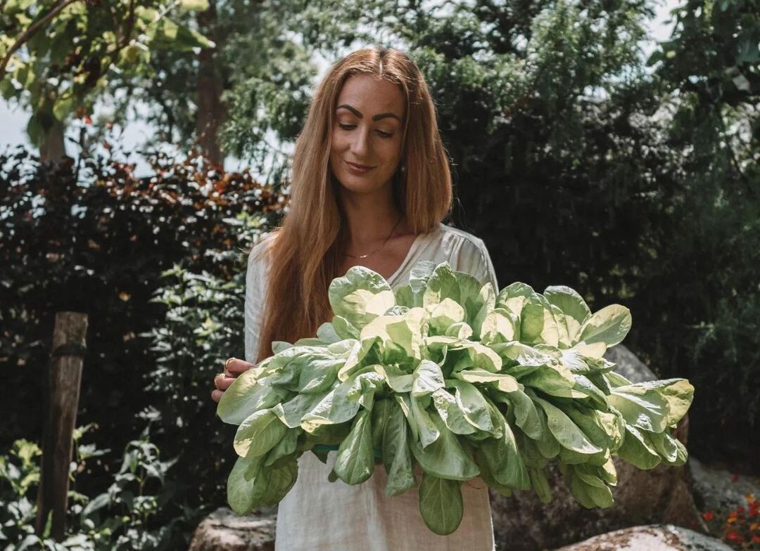 5 tips bij het maken van een moestuinplan