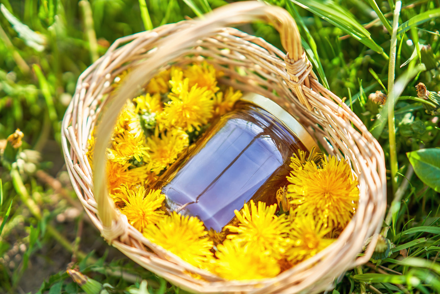 DIY: Zelf paardenbloemhoning maken