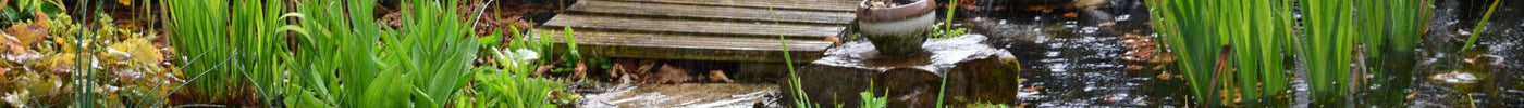 5x effectieve manieren om water te besparen in je tuin