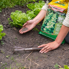 Collection image for: Moestuin verzorging