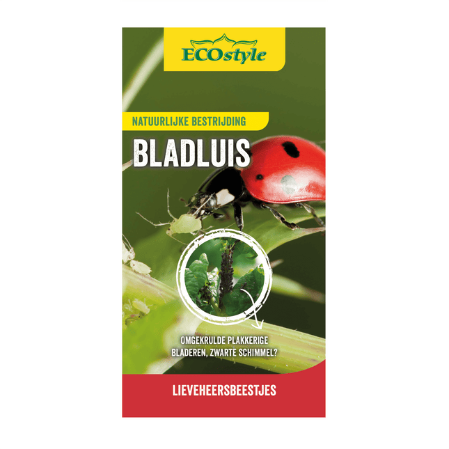 Larven lieveheersbeestje tegen bladluis