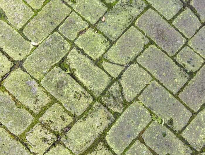 groene aanslag verwijderen