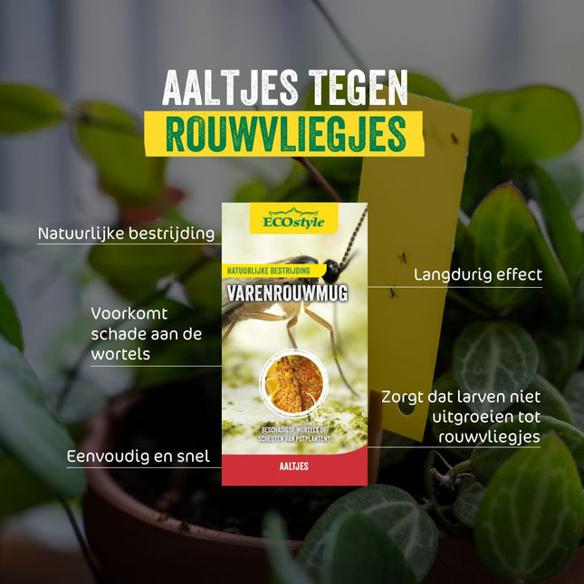 Aaltjes tegen rouwvliegjes (varenrouwmug)