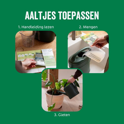 Aaltjes tegen rouwvliegjes (varenrouwmug)