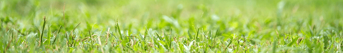Alle ECOstyle producten
