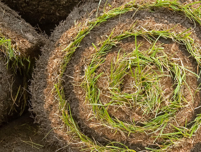 Graszoden aanleggen als een expert? Bekijk het stappenplan