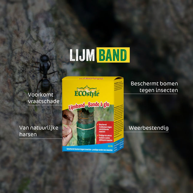 Lijmband