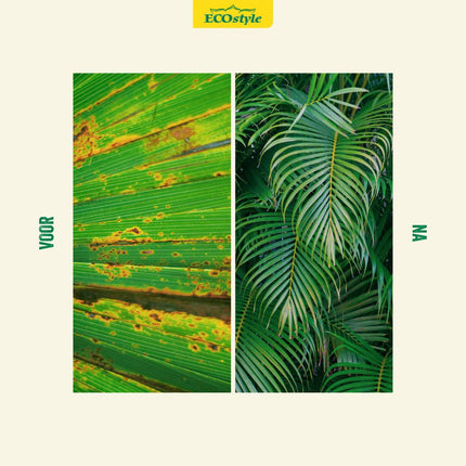 Mediterrane planten-AZ+