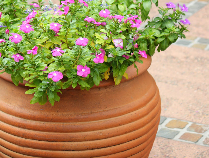 Terras & balkon producten kopen