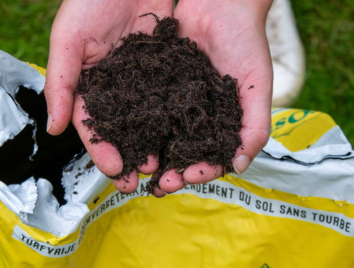 Tijd om je planten te verpotten? Wij helpen je graag een handje!