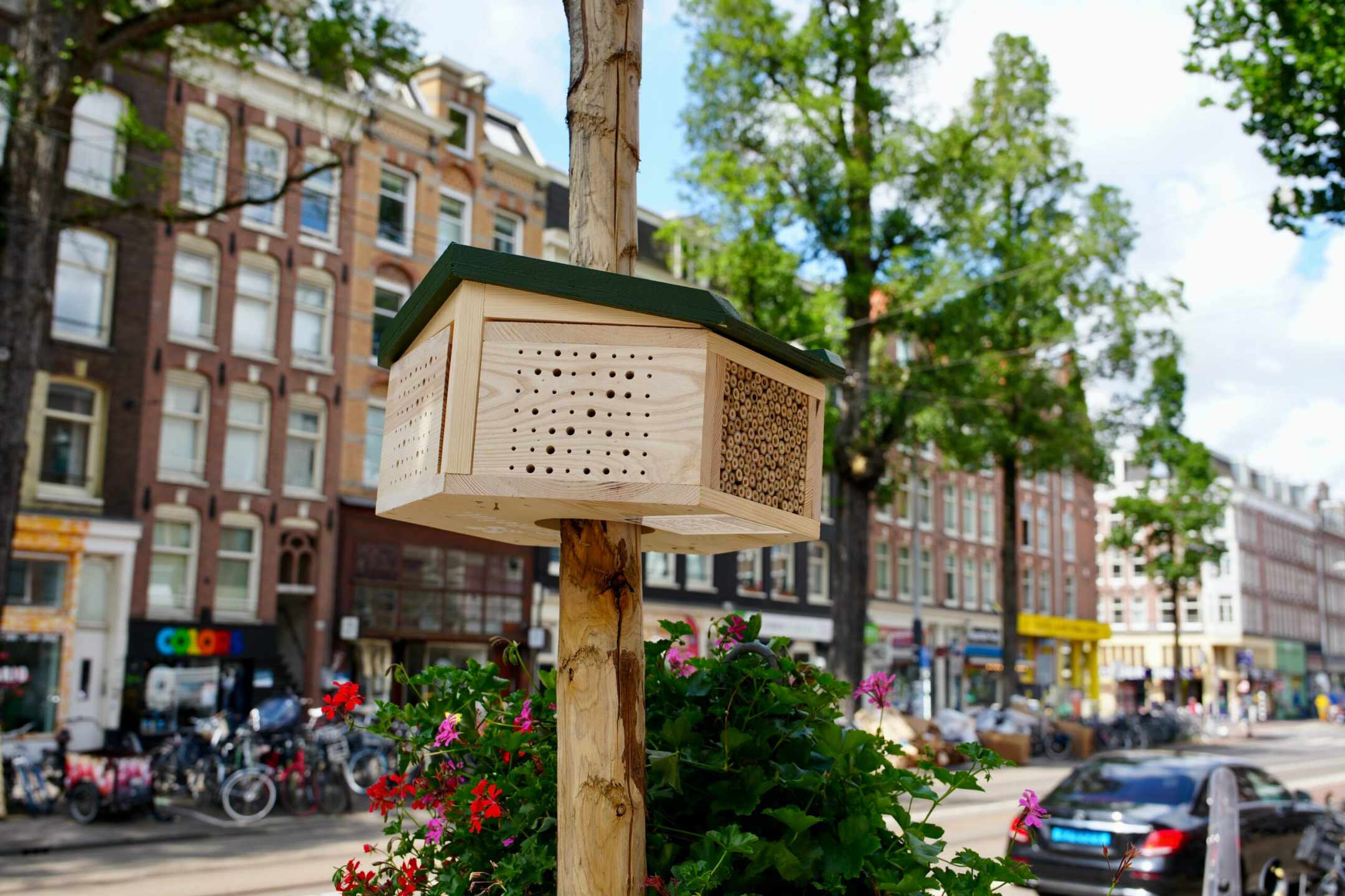 Help bijen in de stad: Zoe en Florence van BeeGrateful maken zich hard