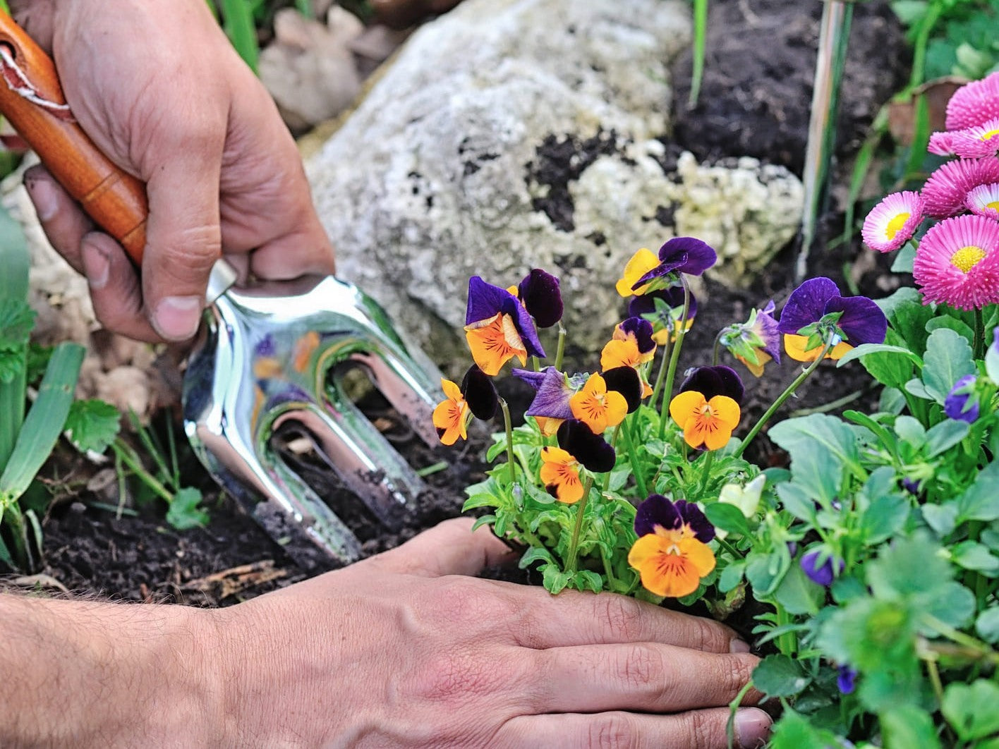 Grote lenteschoonmaak in de tuin? Maak je tuin klaar voor het voorjaar