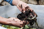 compost zelf maken