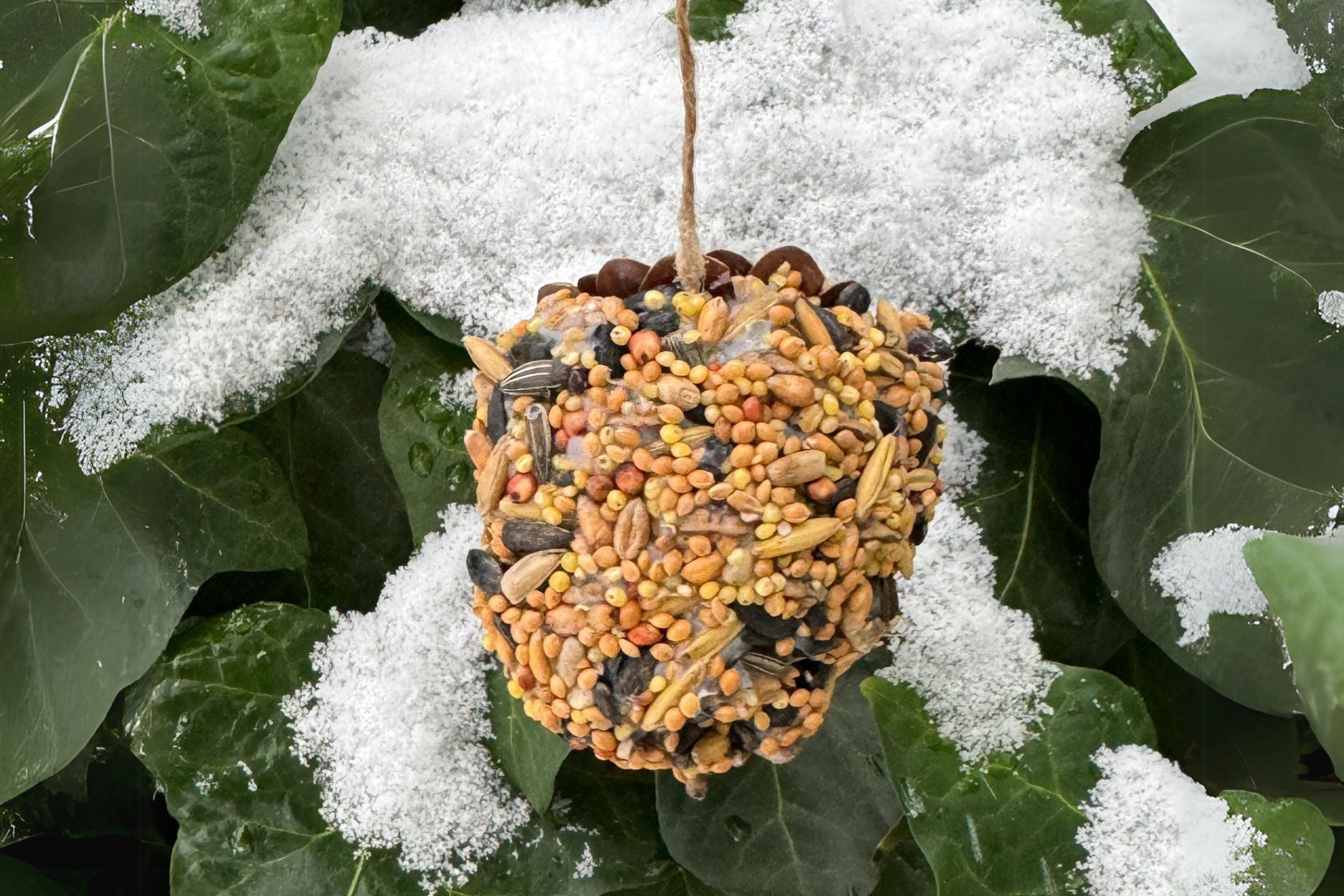 DIY: zelf een dennenappel vogelsnack maken