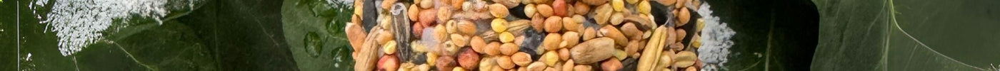 DIY: zelf een dennenappel vogelsnack maken