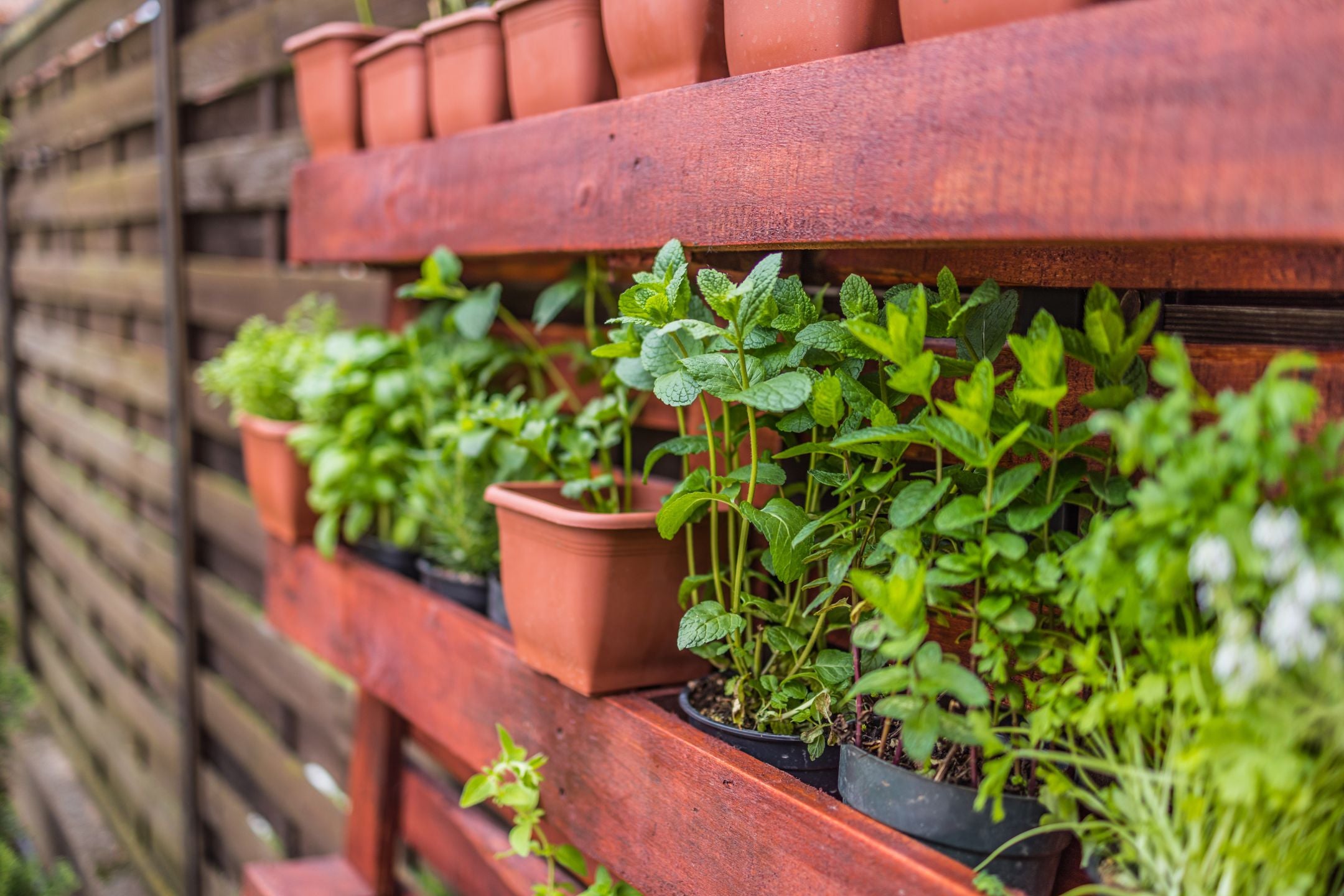 5 duurzame schutting ideeën: kies voor bewuste tuinafscheidingen