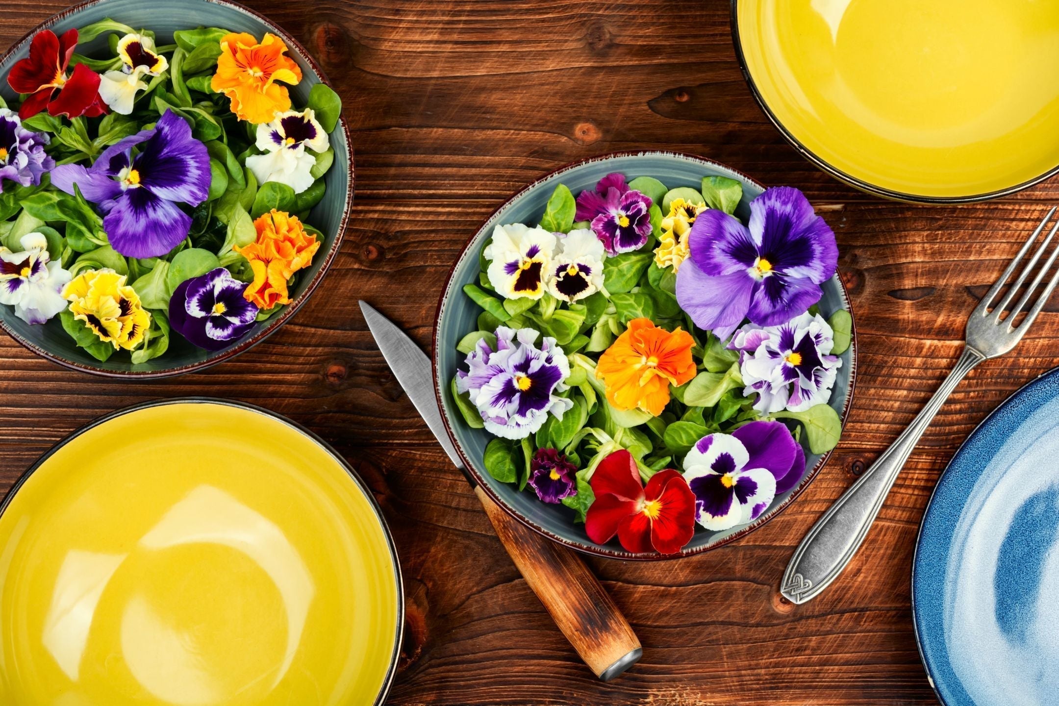 10x eetbare bloemen – fleur je bord op met bloemen