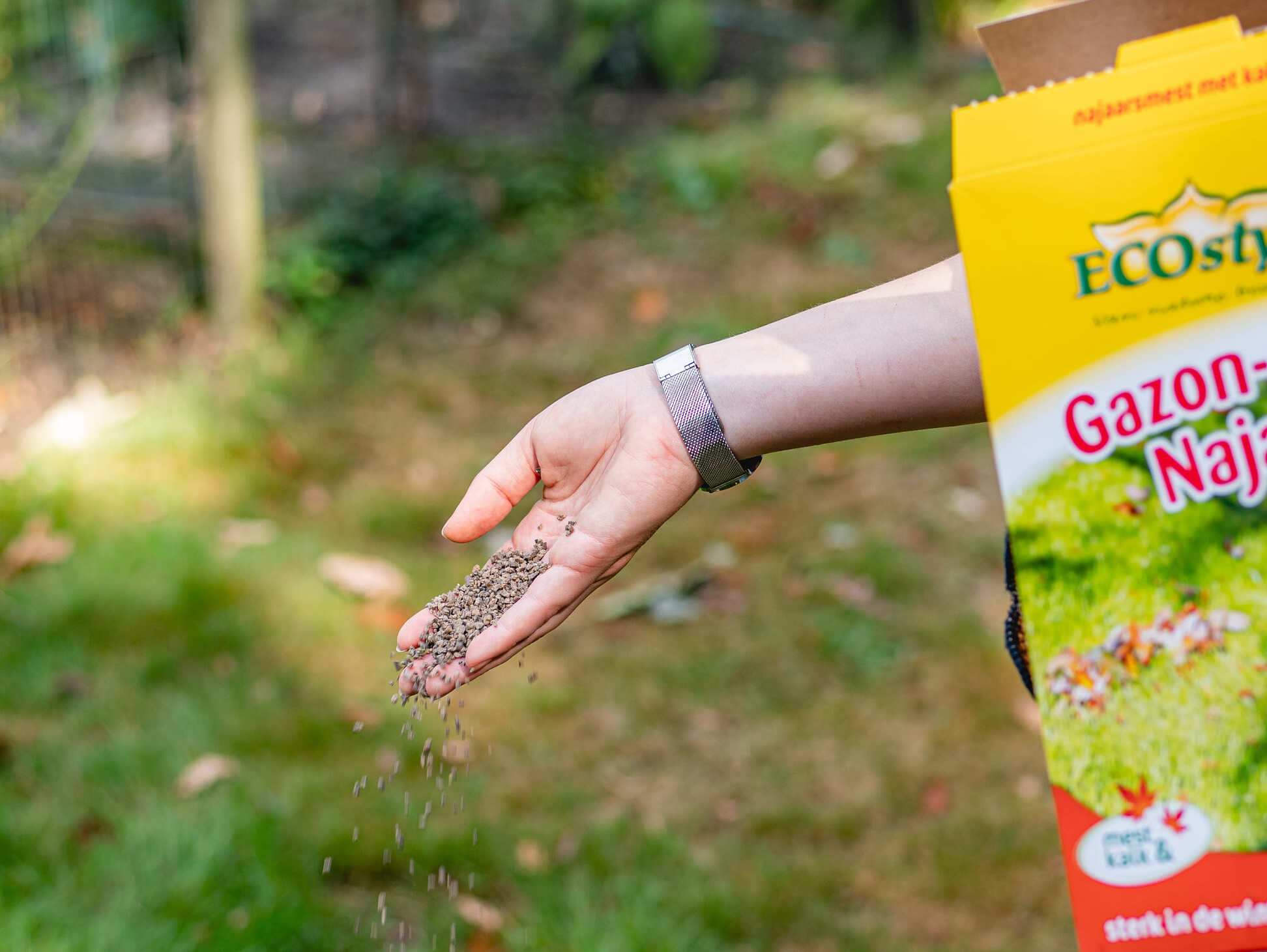 Het gazon in het najaar