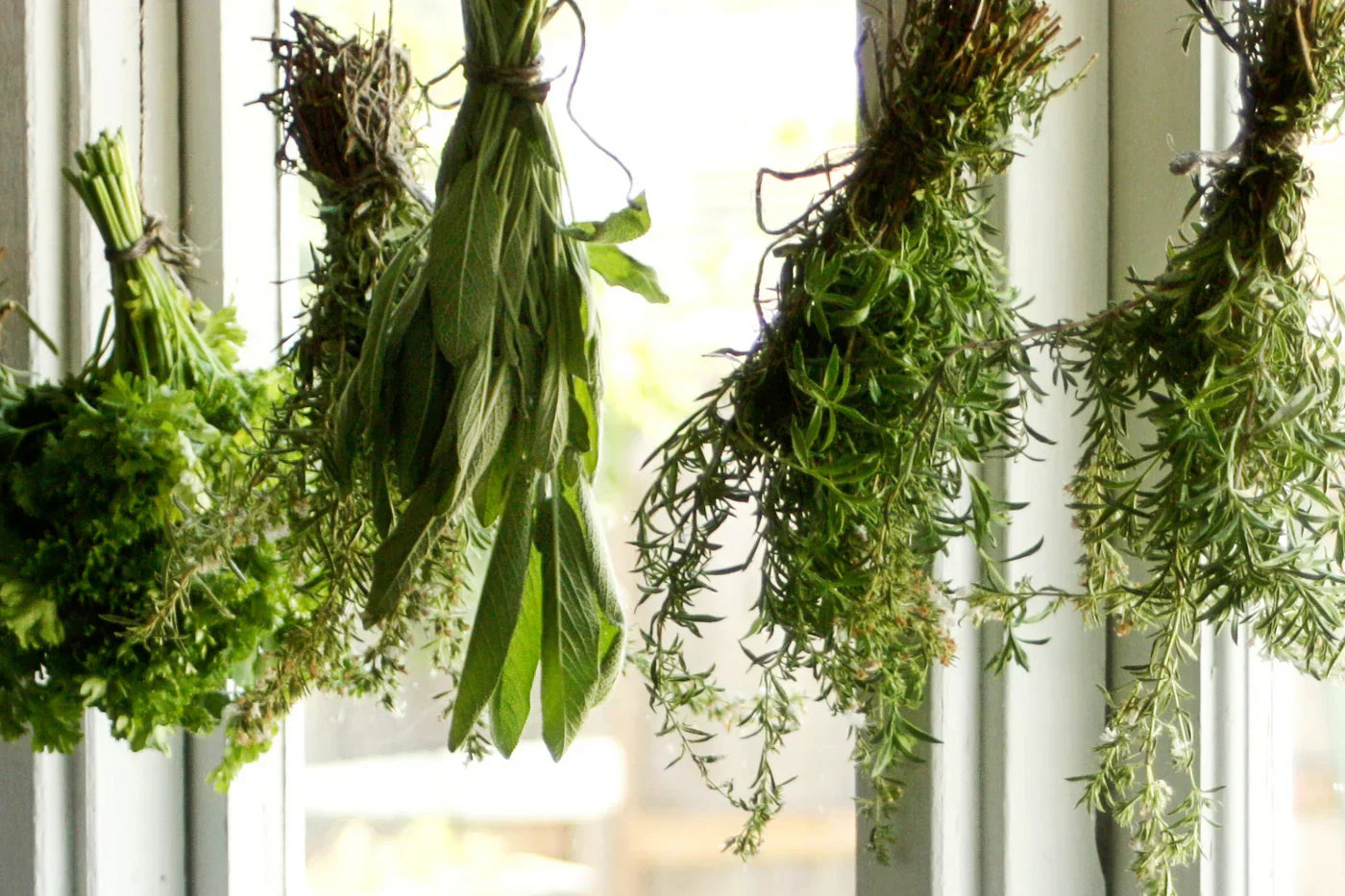 DIY: zelf kruiden drogen