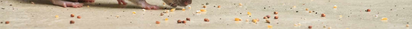 Houd muizen en ratten buiten de deur!