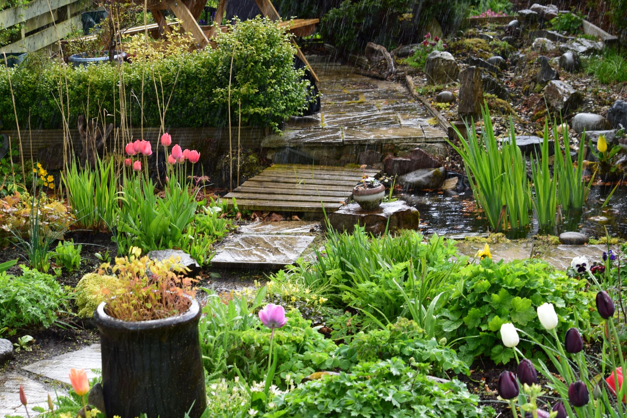 5x effectieve manieren om water te besparen in je tuin
