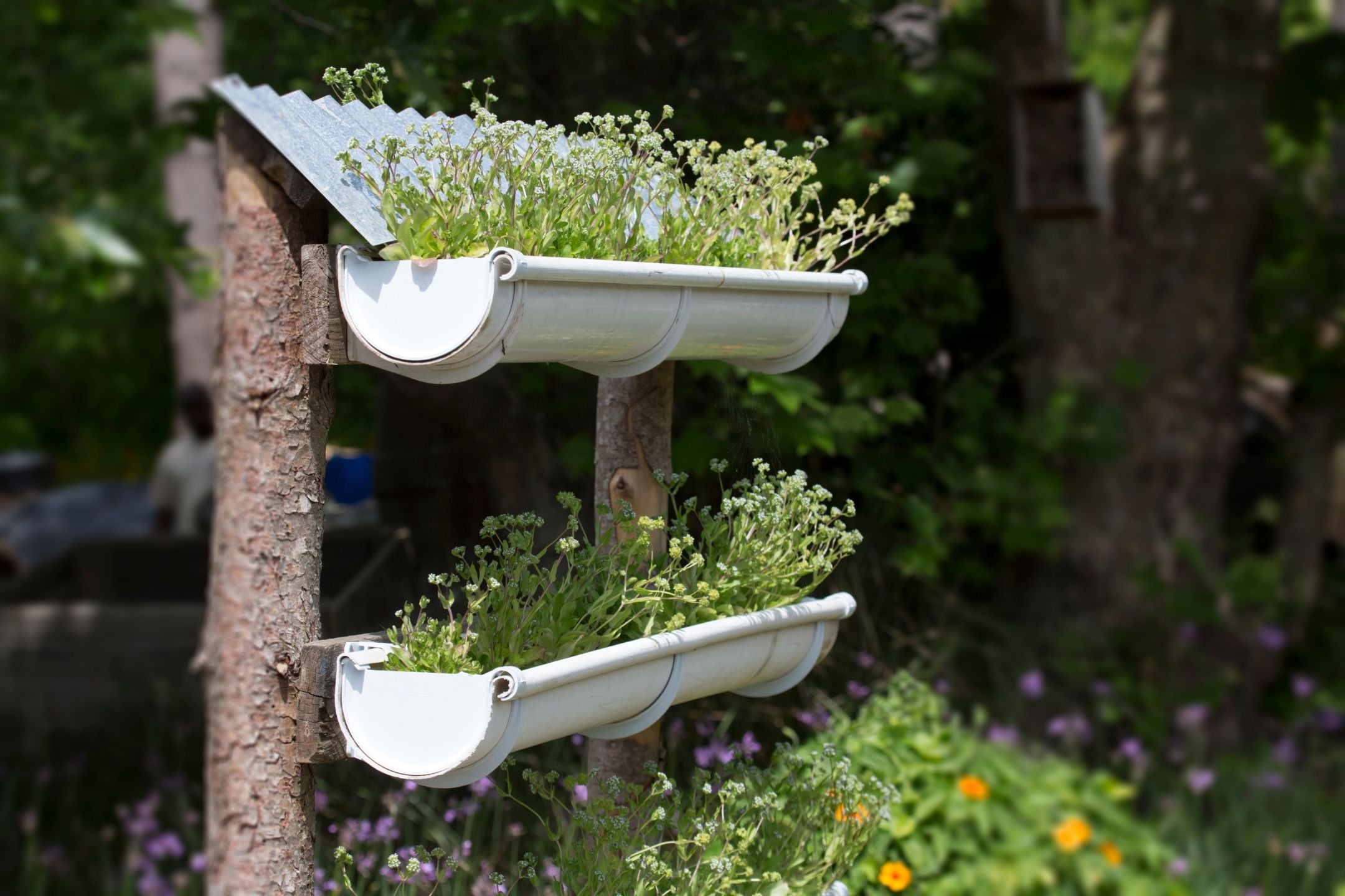 Verticaal tuinieren: bespaar ruimte in je tuin