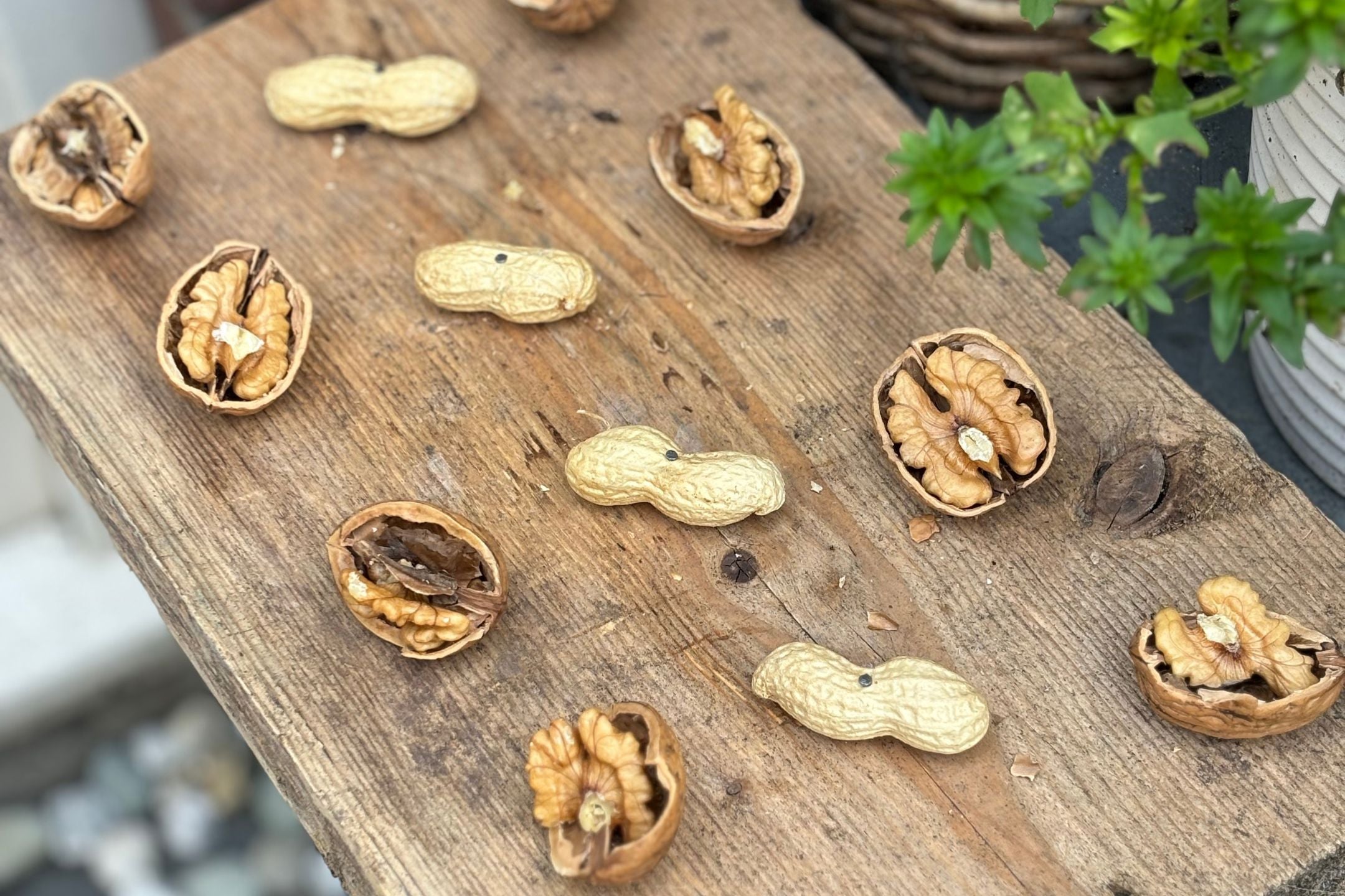 DIY: zelf een vogelvoederplank met walnoten maken