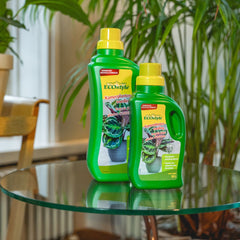 Collection image for: Kamerplanten voeding