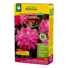 Rhodo & Azalea-AZ+