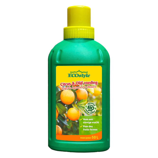 Citrus & Olijf Voeding