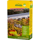 Sedum & Groene daken-AZ+