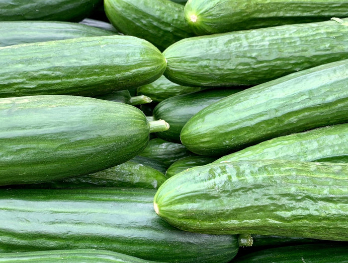 Komkommer plant verzorging