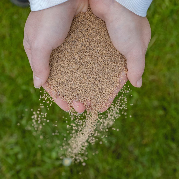 Banner image for: Bekalk nu, voor een groen gazon in het voorjaar