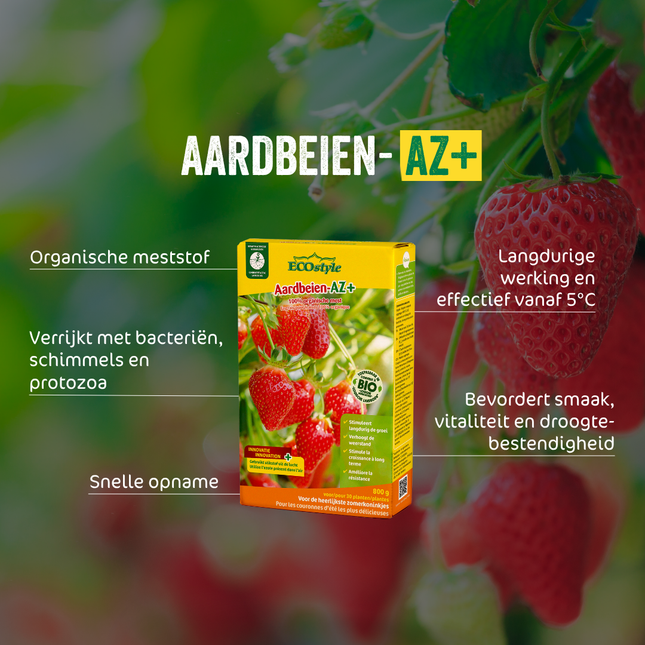 Aardbeien-AZ+