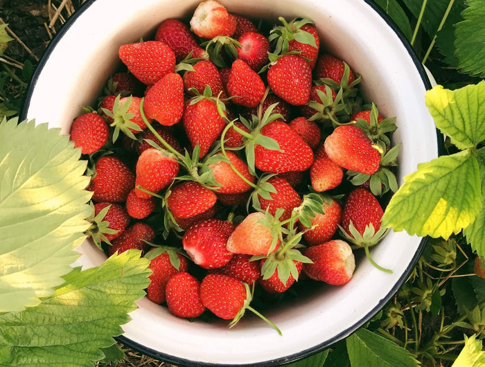 aardbeien bemesten najaar