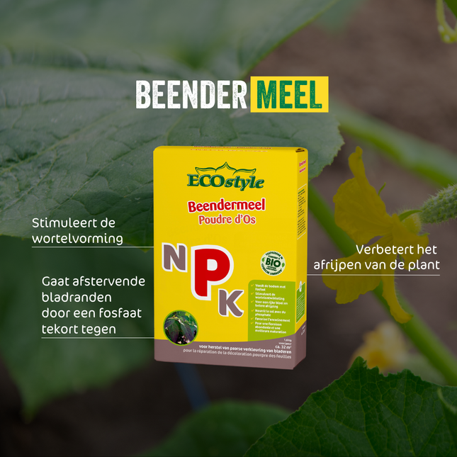 Beendermeel
