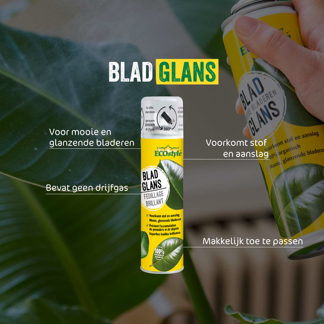 BladGlans Spray