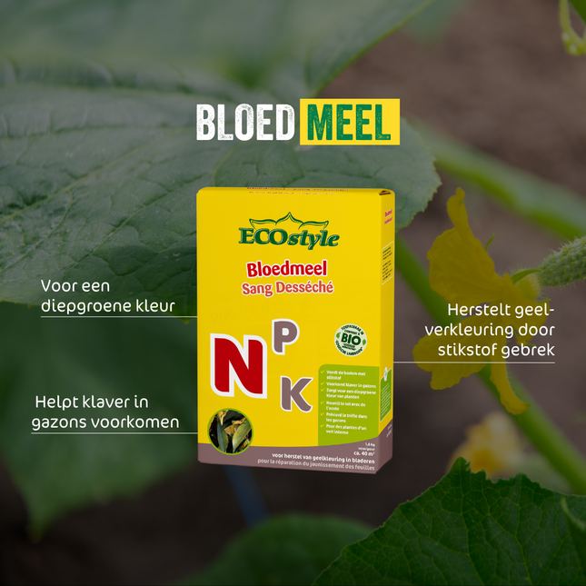 Bloedmeel