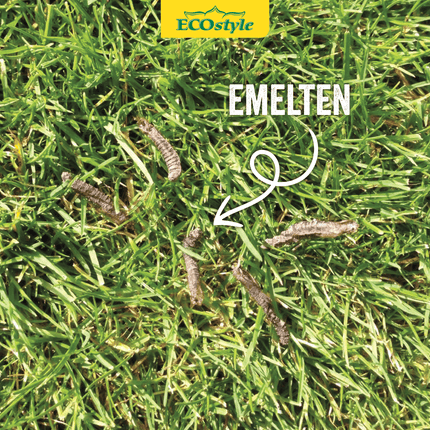 Aaltjes tegen emelten