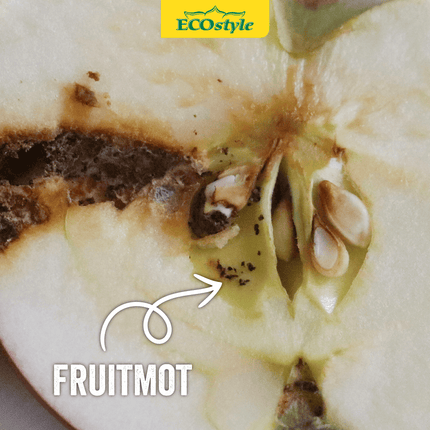 Aaltjes tegen rupsen fruitmot