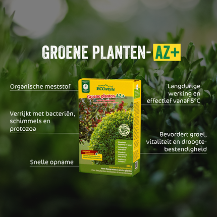 Groene planten-AZ+