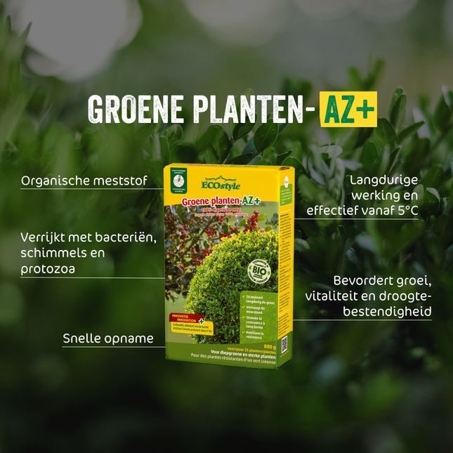 Groene planten-AZ+