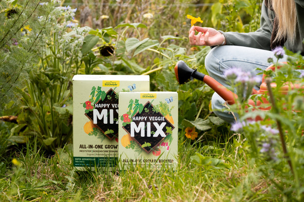 Banner image for: Moestuin beginnen? Start met Happy Veggie Mix!