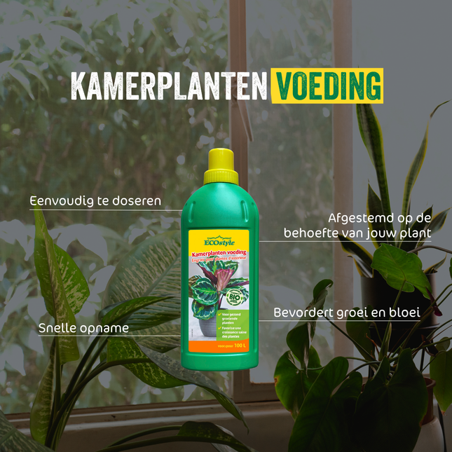 Kamerplanten voeding